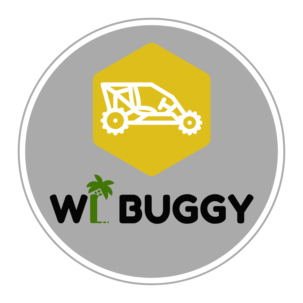 LOGO WI BUGGY
