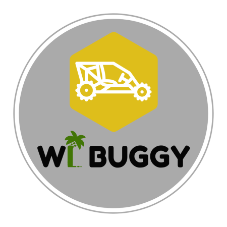 LOGO WI BUGGY